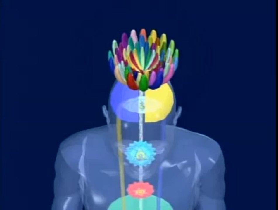 Subtle System Animation