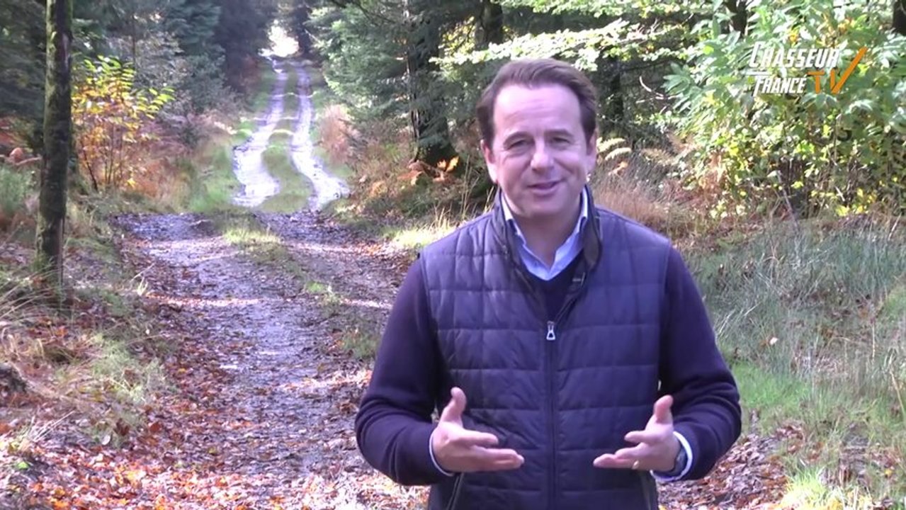 Teaser Chasseur de France TV - Web TV de la Federation Nationale des Chasseurs de France