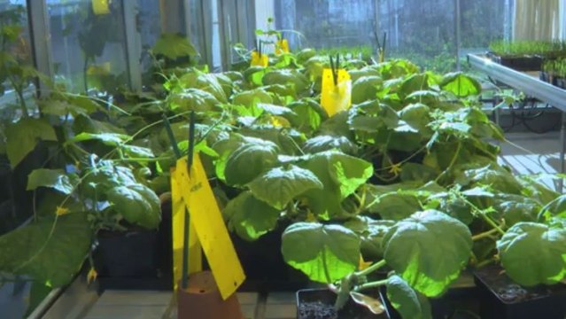 Stéphane Le Foll donne une impulsion nouvelle aux stratégies de biocontrôle en agriculture