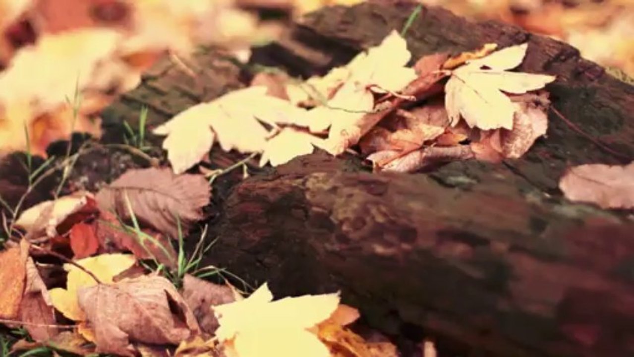 Herbstgelb