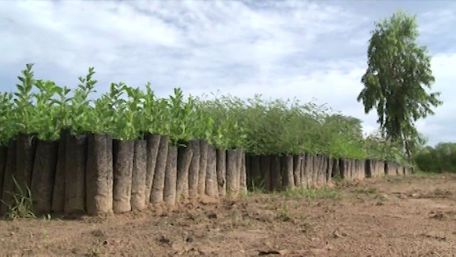 Partenariat entre la Région Poitou-Charentes et la Région de Fatick au Sénégal