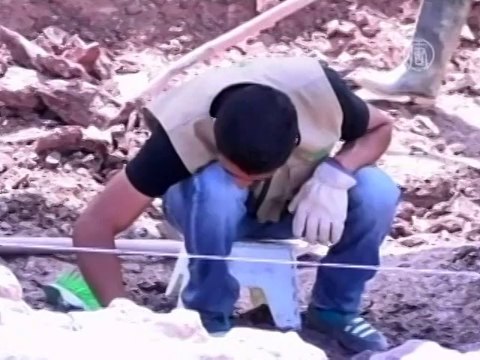 В Колумбии нашли скелет 8-метровой рептилии