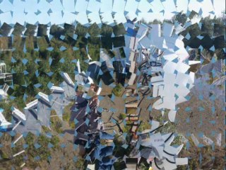 point to multi-point wireless