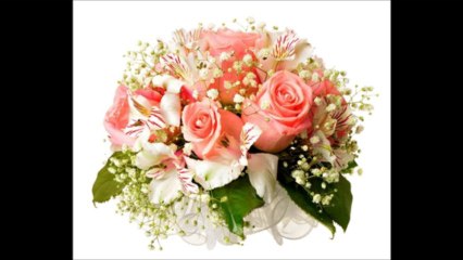 des couleurs et des fleurs
