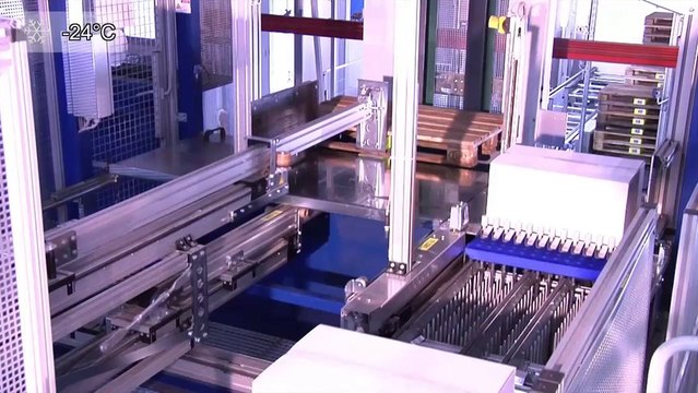 Fully automated picking in the frozen goods warehouse