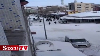 Polis otosunu böyle taşladılar