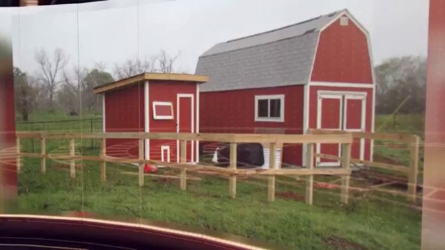 How to build a chicken coop - Chicken coop designs and ideas