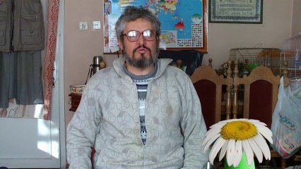 matillaatasever - MANTAR KISKANÇ PAPATYA