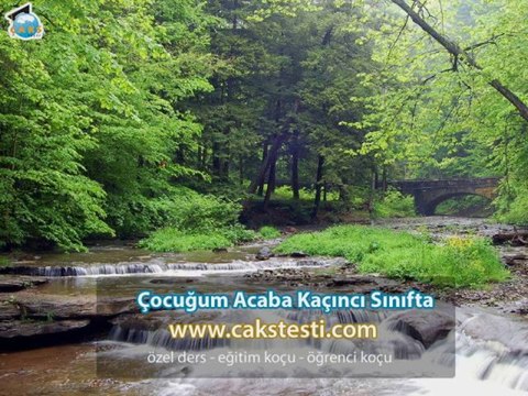 Özel Ders Almak Isteyenler