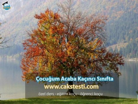 Özel Eğitim Ders Notları