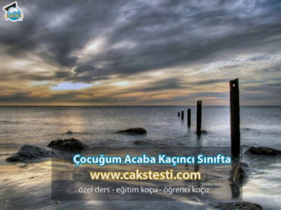 Özel Ders Keman
