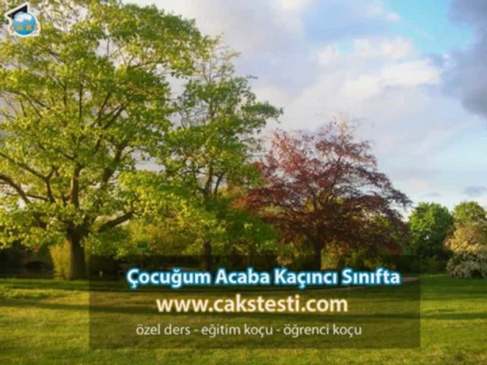 Özel Ders Manisa
