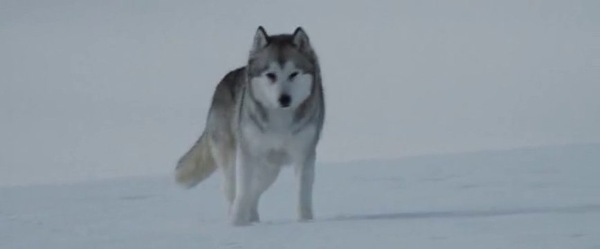 Осем герой - Бг Аудио -Част 2