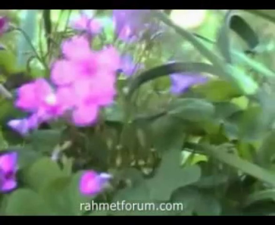 Dursun Ali Erzincanlı - Faran Dağları İlahisi