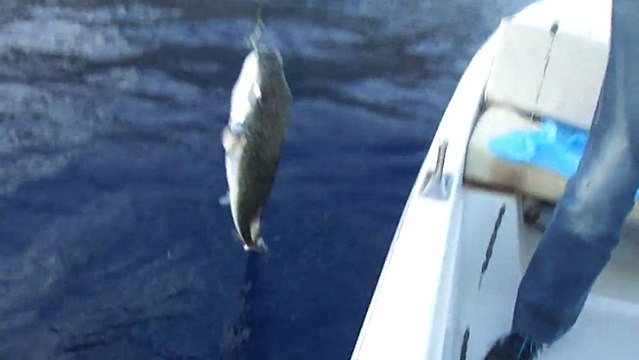 ANTALYA BALIK AVI TURU ADRASANDA Balon Balığı Avı - adrasanbalik.com