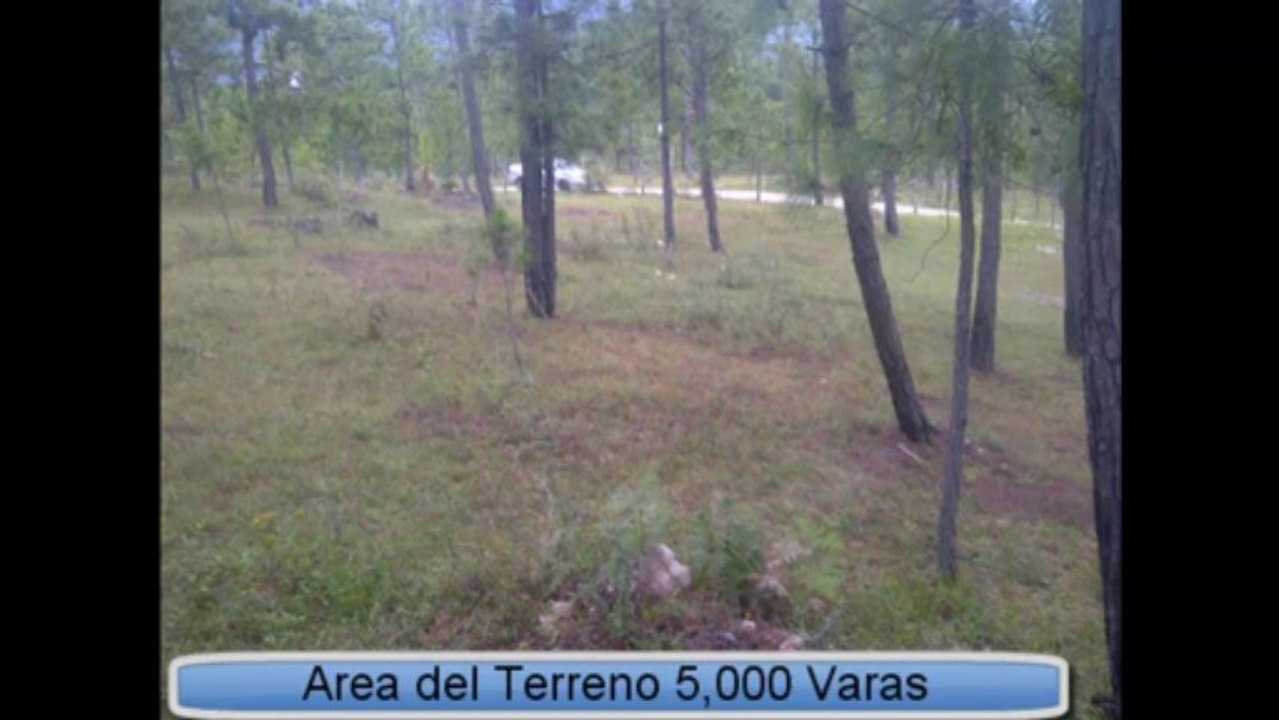 VENTA DE TERRENO EN VALLE DE ANGELES 500 VARAS