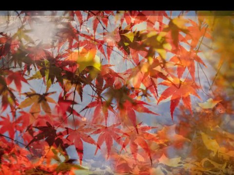 Игорь читает Тютчева.