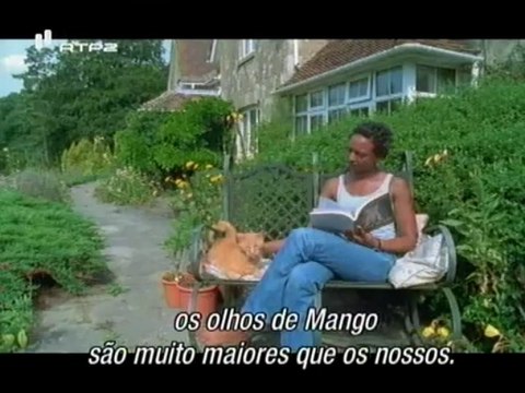 Gatos Domesticos - The Ultimate Guide, House Cats - RPT2