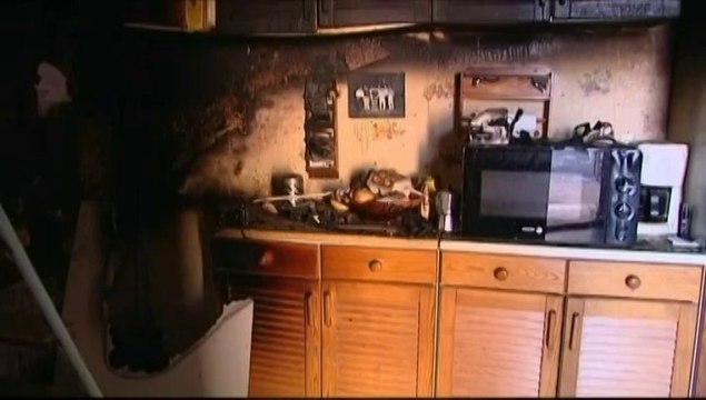 Iris, la chienne qui sauve ses maîtres de l'incendie