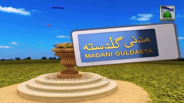 Islamic Information 213 - Sahabiyat Aur Umoor e Khana Dari - Haji Shahid Attari