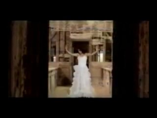 Candaş Gümüş - Dostçakal