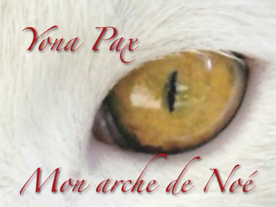 Mon arche de Noé