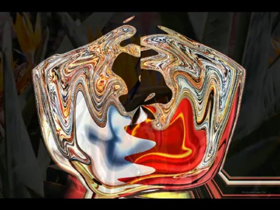 TAHITI ILE DE REVE THOMAS ANDRE MARTINE ANCIAUX