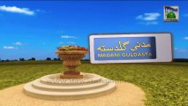 Islamic Information 532 - Masjid banane ki Fazilat - Haftawar Ijtima Ep 237
