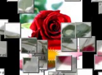 Hayrettin Tarhan - Şirin Yare.wmv