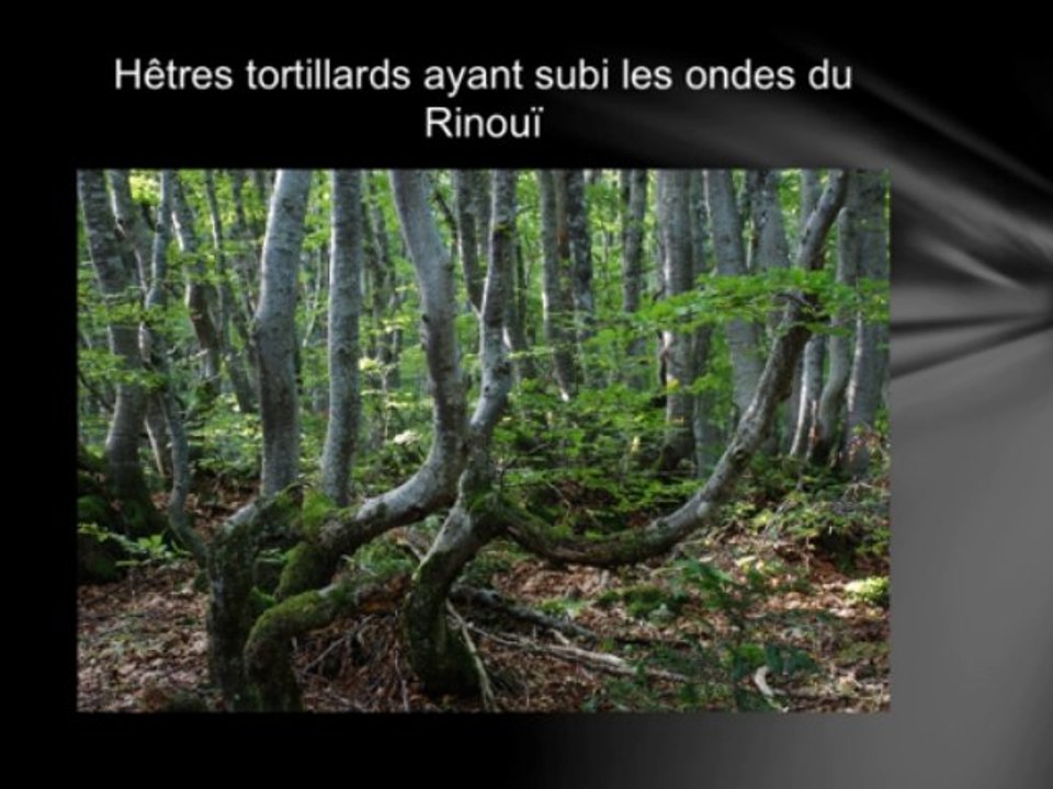 interview Yves Codet et Hubert Fournier