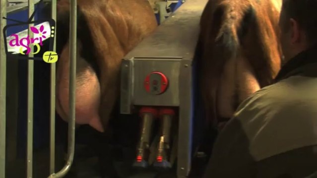 Rencontre avec Thierry et Joseph Lucas, éleveurs caprins