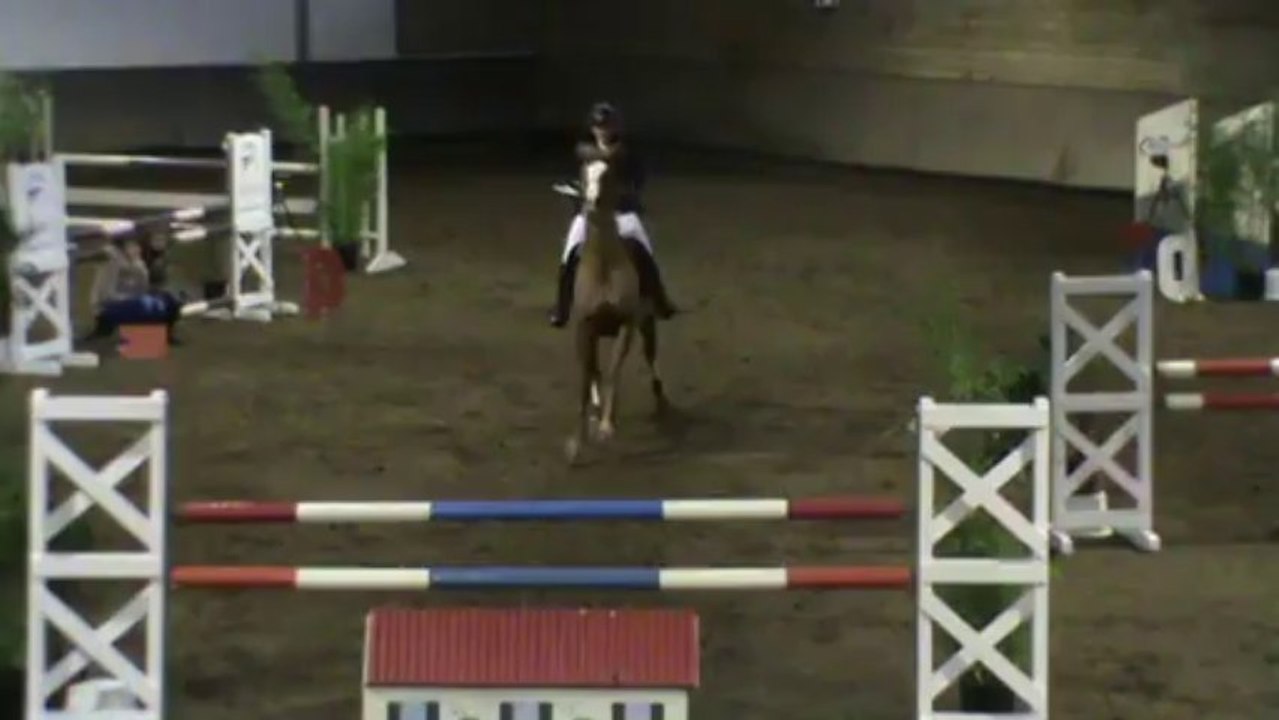 Tonik Liniere - Amandine Le Comte teteghem barrage gd prix 1.15m 4°