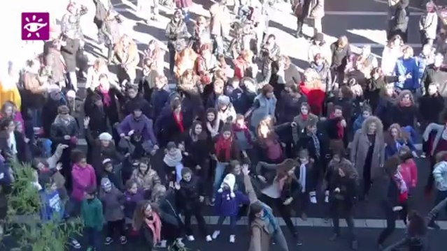 Téléthon 2013 : Flash Mob à Saint-Médard-en-Jalles (33)