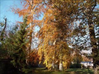 Circuit des peintres de Barbizon en automne