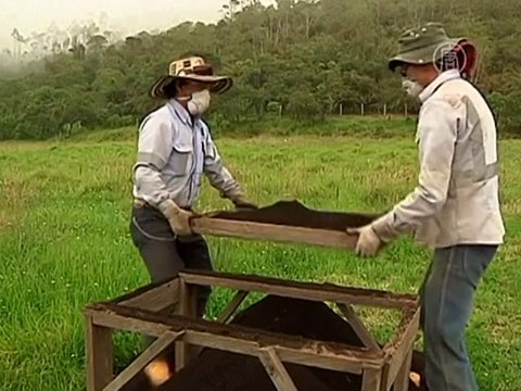 В Колумбии нашли деревню возрастом 3 тысячи лет