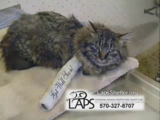 블랙잭▶▶▶T O M 5 4. C O M◀◀◀태양성바카라