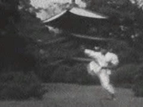 Karate kata Shotokan Empi-Big