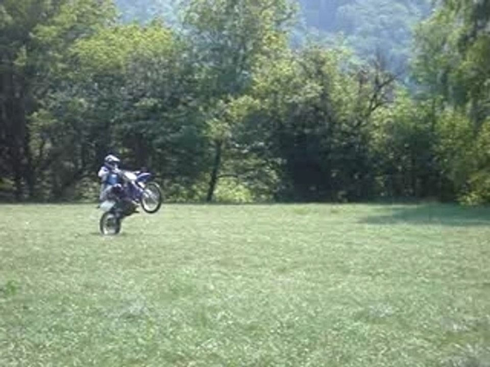 yz 250 wiling
