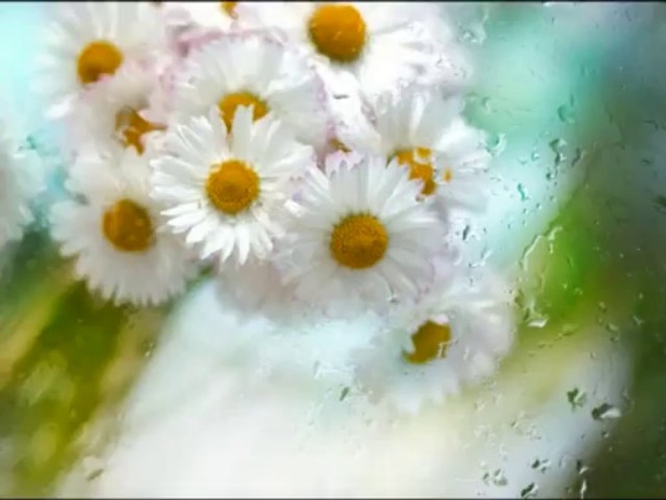 Mihrican - Ahmet ÇİÇEK