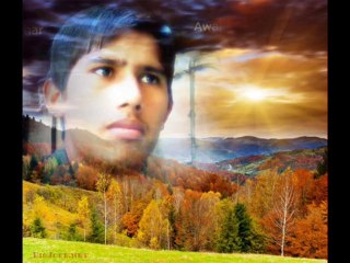 Mehar Awais786   ctt selve gippy