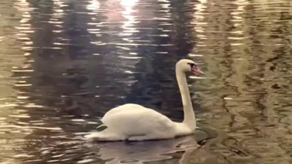 라스베가스카지노★☆★T O M 5 4. C O M★☆★필리핀카지노