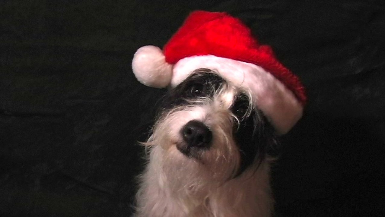 Joyeux Noël et Bonne Année - Chansons Marcome