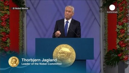 Opac riceve Nobel per la Pace, il Comitato ricorda Mandela