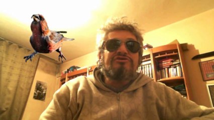 matillaatasever - KUŞ AVI