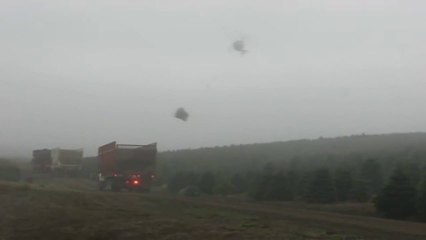 Un pilote d'hélicoptère qui gère comme personne en chargeant des sapins