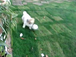 Aika de kerstbalspeler, Aika plays soccer with Christmas ball