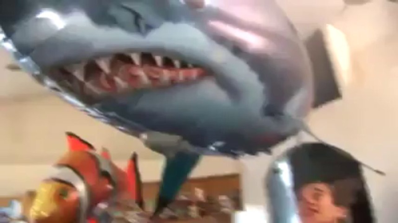 Cat and the fish