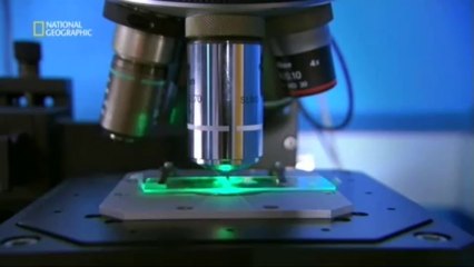 National Geographic - Asteroid Impact.(XviD)