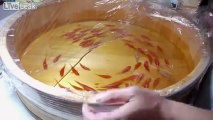 Goldfish Salvation
