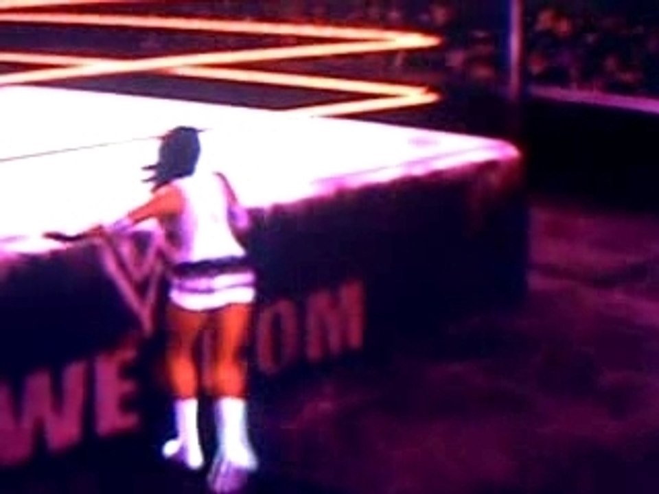 wwe divas